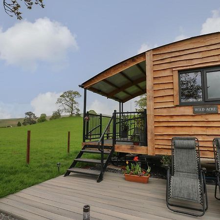 Wild Acre Villa Llangadog ภายนอก รูปภาพ