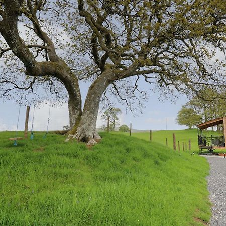 Wild Acre Villa Llangadog ภายนอก รูปภาพ