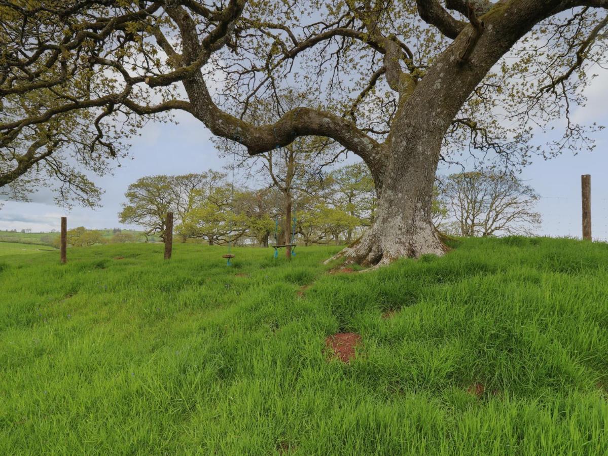 Wild Acre Villa Llangadog ภายนอก รูปภาพ